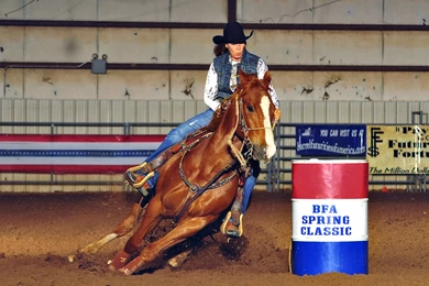 Green Hill Farm Bet365/ Free Money