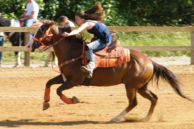 Speed Barrel Racing Quotes. QuotesGram
