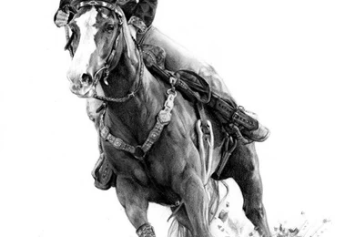 Barrel Racing By Define X On DeviantArt