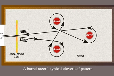 Bonus: Carol Crowder: Mile Hi Barrel Horse Association   Masters ...