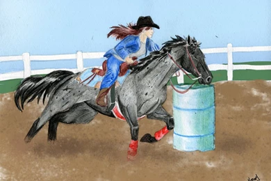 Barrel Racer Request By Nerual 56 On DeviantArt