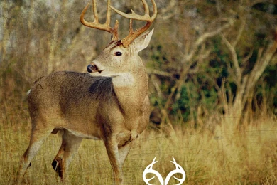 Realtree Wallpapers Calendar