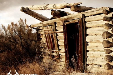 Wallpapers Real Tree Nature Unusual Realtree Mobile Hd Aper ...