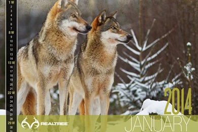 Top Realtree Max 5 Camo Wallpapers Wallpapers