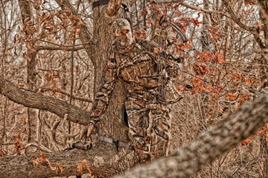 21+ Best HD Mossy Oak Wallpapers