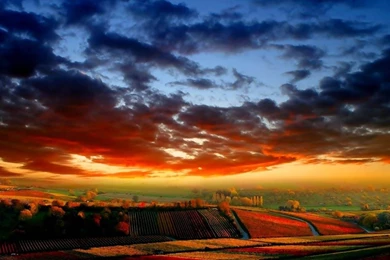 Desktop Wallpapers HD   Android Apps On Google Play