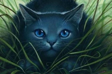 Image   Warrior cats wallpapers 1.jpg   Animal Jam Clans Wiki   Wikia