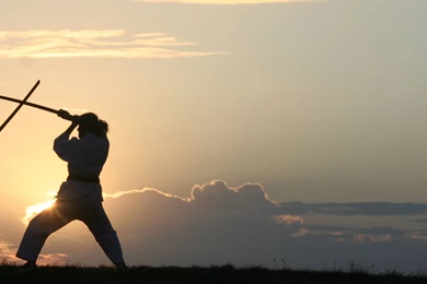 Karate Fight 3384×1160 Wallpapers 771731