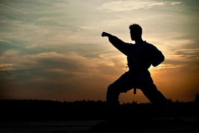 Karate Live Wallpapers Android Apps On Google Play