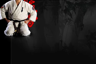 Kyokoshin Karate Wallpapers