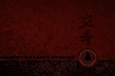 Wallpapers Karate Sharkey S Studios 1680x1050