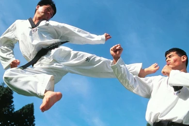 Free Wallpapers Offense Defense Karate 1024 X 768