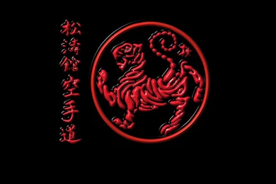 Shotokan Karate Do Wallpapers,Sports Wallpapers & Pictures Free ...