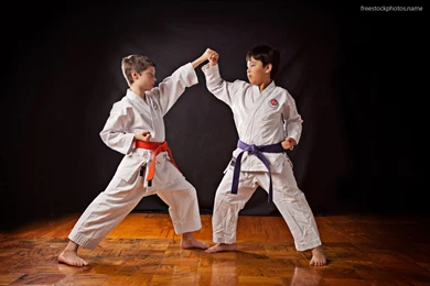 Download Stock Photos Of Karate Classes For Kids Images ...