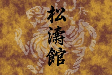 Wallpapers Karate Shotokan 1024x768