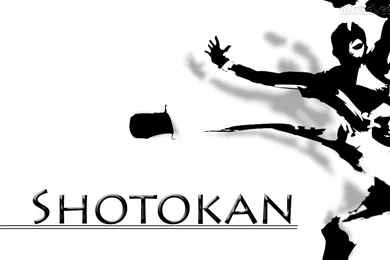 Karate Shotokan