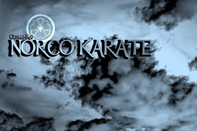 Norco Karate Wallpapers By Punkvmpr On DeviantArt