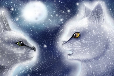 Warrior Cats Wallpapers