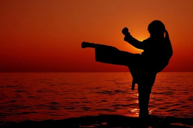 Karate Pack 2 Live Wallpapers APK Download   Free Personalization ...