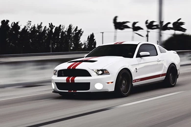 Ford Mustang Shelby Gt500 Wallpapers Download   Johnywheels.com