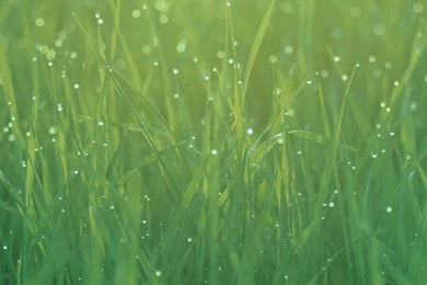 Download The New IOS 7 Wallpapers Now