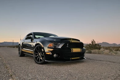 Ford Mustang Shelby Gt500, Cars, 1920x1200 HD Wallpapers And FREE ...