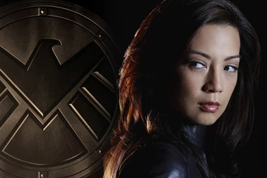 Shield Wallpapers   Imgur