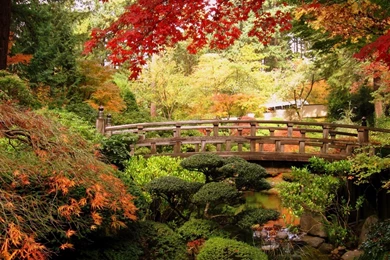 Japanese Garden Wallpapers Photo   Uncalke.com