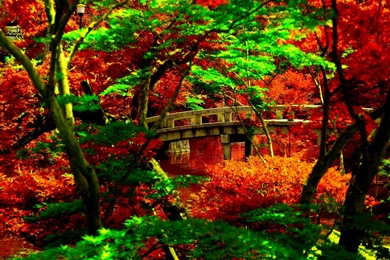 Japanese Garden Wallpapers Ideas 66842 Garden Design   Segets.com