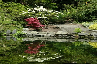 Japanese Garden Wallpapers