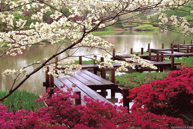 Japanese Nature Wallpapers – Nature Wallpapers