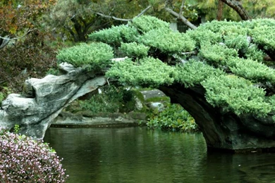 Gardens Wallpaper: Japanese Garden 1920x1080px 588383, Favorite 32 ...