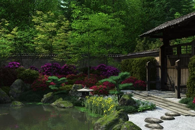 Japanese Garden At Night Wallpaper_other_health Questions,pictures ...