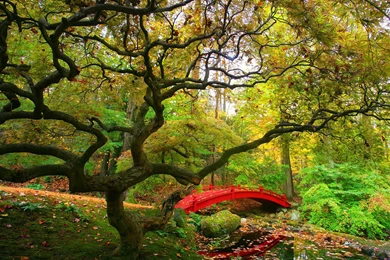 Gardens Wallpaper: Japanese Garden Wide Desktop Backgrounds ...