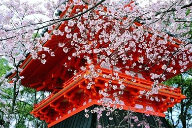 Kyoto Japanese Garden Wallpapers   Wallcoo.net