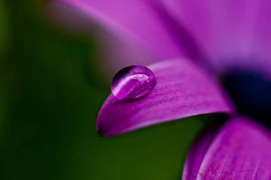 Desktop Download Nature Wallpapers Hd