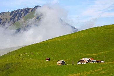 Desktop 1080p Hd Wallpapers Nature Dowload