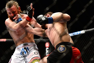 Ufc Wallpapers 34698 HD Wallpapers