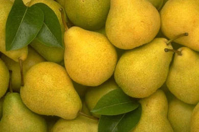 Free Pears Wallpapers