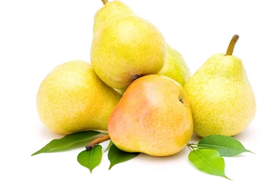 Pear 30027   Fruits And Vegetables   Harvest Season