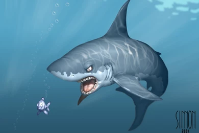 160 Shark HD Wallpapers