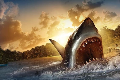Shark HD Live Wallpapers   Android Apps On Google Play