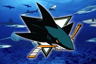 San Jose Real Sharks Hockey Iphone Ipad Hd Wallpapers