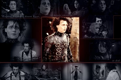Edwardscissorhands1a   Edward Scissorhands Wallpapers (4278154 ...