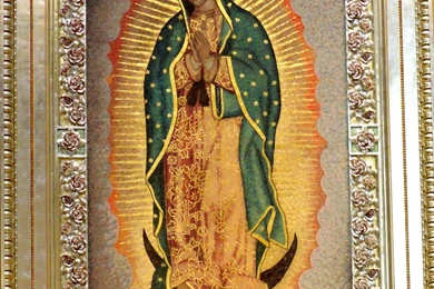 Fast Pics2: Wyatttwirp: Wallpapers Our Lady Of Guadalupe