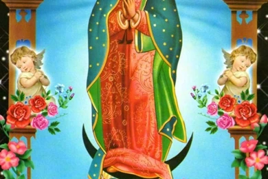 Virgen De Guadalupe App Ranking And Store Data