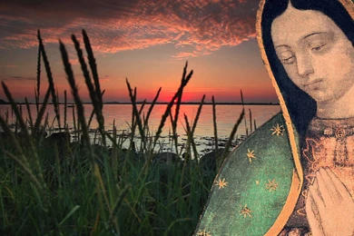 Erica Araceli Gallegos Arias   Google+