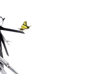 Wallpaper: Edward Scissorhands, Movie, Yellow Butterfly, Boy ...