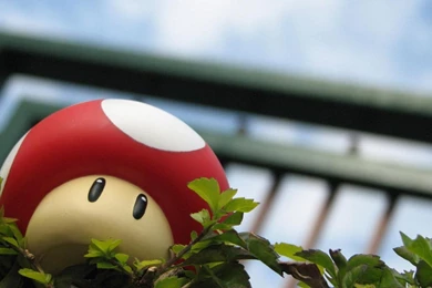 Hippie Flower Picture Wallpapers : Abstract Wallpapers   LocaLwom