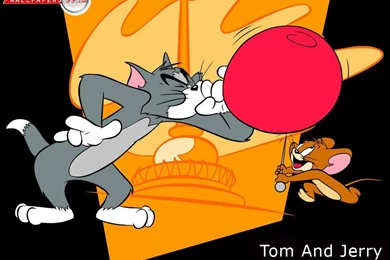 Tom And Jerry Wallpapers Picture Image 1024x768 23656
